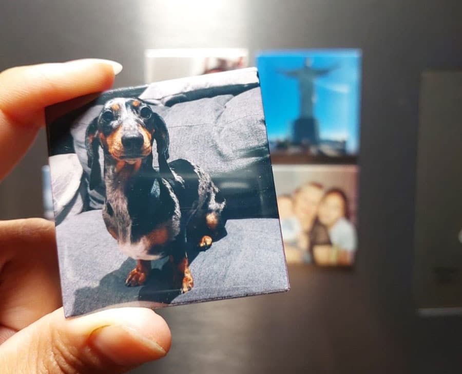 Imanes Fotográficos Premium (Pack 6 unid.)